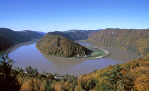 Schlögener Schlinge